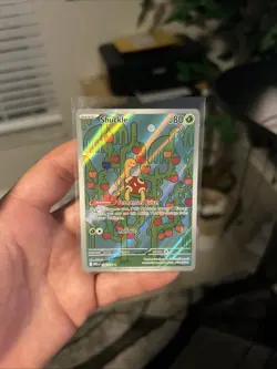 Shuckle 136/132 - ME01: Mega Evolution Pokemon Illustration Rare Holo NM 🆕 - Image 1