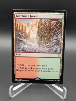 Karplusan Forest Commander 2016 Regular - Image 1