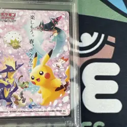 2020 Graded Pokemon Pikachu Let's Have Fun Spring Pokeka Promo Japanese PSA 6 - Image 3