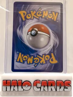 PACK FRESH Mudkip - 116/147 - Common NM, English Pokemon Supreme Victors B - Image 2