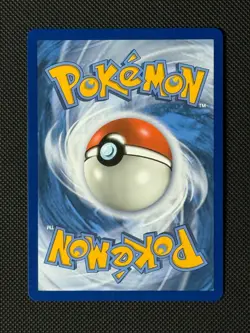 Rockruff SV23/SV94 Holo Pokemon Card Hidden Fates Baby Shiny - Image 2