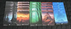 Magic the Gathering Unstable Land Lot 4 Of Each Land - 20 Total ~LP/NM~ MTG - Image 1