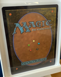 MTG Spider-Man - WEB-WARRIORS Uncommon 0203 Borderless Full Art Card - Image 2