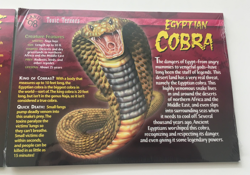 Weird N' Wild Creatures: Toxic Terrors - Trading Cards Pack of 10 Set of 2 (New) - Image 3