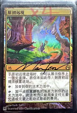 Primal Beyond FOIL Morningtide (Chinese) Signed - Image 1