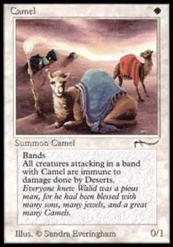 MTG English Camel NM Normal Arabian Nights - Image 1