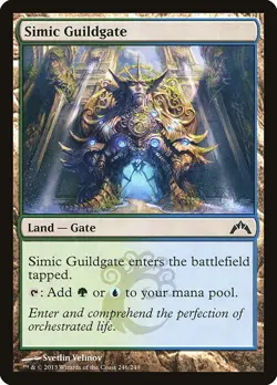 Simic Guildgate 1x FOIL GTC MTG Gatecrash Common MINT blue green land - Image 1