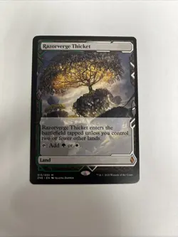 Razorverge Thicket Nonfoil Zendikar Rising MTG - Image 1
