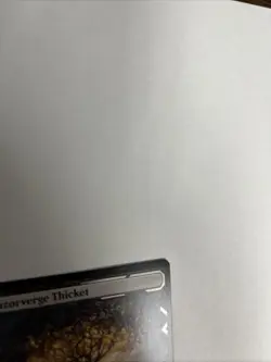 Razorverge Thicket Nonfoil Zendikar Rising MTG - Image 3