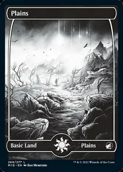 Plains (269) - Near Mint MTG Innistrad: Midnight Hunt - Image 1