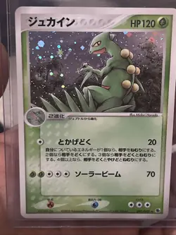 Pokemon Sceptile Holo Rare 003/055 2003 Japanese ADV Expansion Pack 1st Edition - Image 1