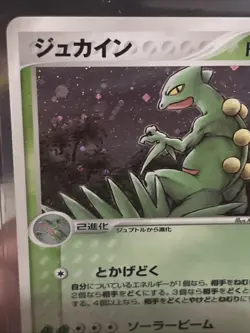Pokemon Sceptile Holo Rare 003/055 2003 Japanese ADV Expansion Pack 1st Edition - Image 2