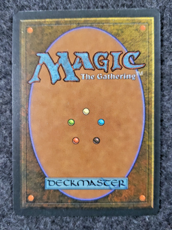 MTG Aysen Abbey Homelands Regular Uncommon (DS3D1L1) - Image 2