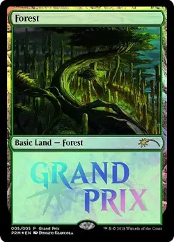 1x Forest - Foil 2018 Grand Prix Promo NM-Mint, English Pro Tour/Magic Fest/Gran - Image 1