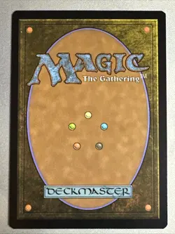 MTG / Sundown Pass / VOW / #285 / Regular (Borderless) / Rare / NM - Image 2