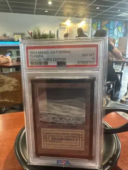 TUNDRA 1993 MAGIC THE GATHERING CE PSA 8 Dual Land Ultimate Power 🦾🫵 - Image 1