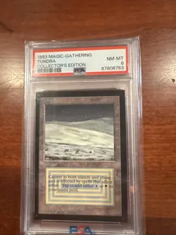 TUNDRA 1993 MAGIC THE GATHERING CE PSA 8 Dual Land Ultimate Power 🦾🫵 - Image 3