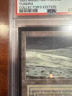 TUNDRA 1993 MAGIC THE GATHERING CE PSA 8 Dual Land Ultimate Power 🦾🫵 - Image 4