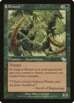 4x Brawn - LP - Judgment - SPARROW MAGIC mtg - Image 1