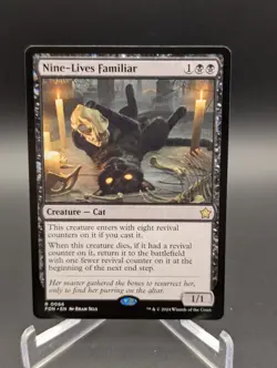 Nine-Lives Familiar Foundations Regular - Image 1