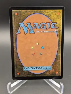 Nine-Lives Familiar Foundations Regular - Image 3