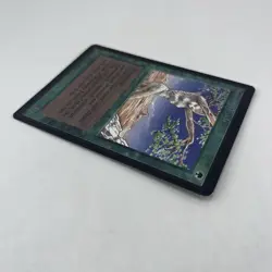 MTG Shanodin Dryads Alpha Magic The Gathering TCG Card Includes Shipping - Image 3
