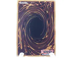 Yugioh! Left Arm Offering - RA04-EN086 - Platinum Secret Rare - 1st Edition - Image 2