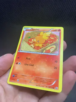 Torchic RC5/RC25 Pokemon Legendary Treasures: Radiant Collection Holo LP/NM - Image 3