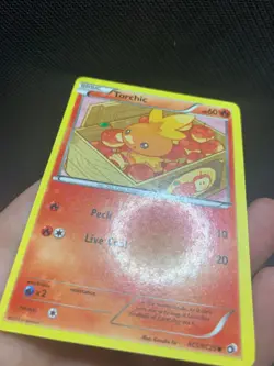 Torchic RC5/RC25 Pokemon Legendary Treasures: Radiant Collection Holo LP/NM - Image 4