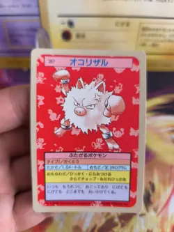 Pokemon Karte Card Topsun blue back 1995 bandai japanese Rasaff Primeap NM - Image 2