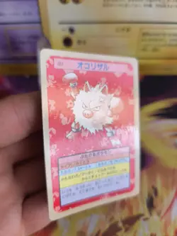 Pokemon Karte Card Topsun blue back 1995 bandai japanese Rasaff Primeap NM - Image 4