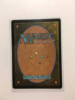 MTG Hide on the Ceiling - Foil Borderless, English Marvel's Spider-Man 0249 - Image 2