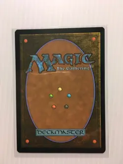 MTG Hide on the Ceiling - Regular Borderless, English Marvel's Spider-Man 0249 - Image 2