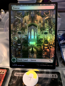 MTG Forest #276 FOIL Full Art Murders at Karlov Manor Magic Card Land NM - Image 1