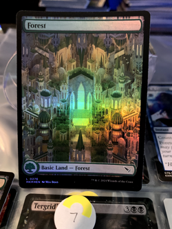 MTG Forest #276 FOIL Full Art Murders at Karlov Manor Magic Card Land NM - Image 2