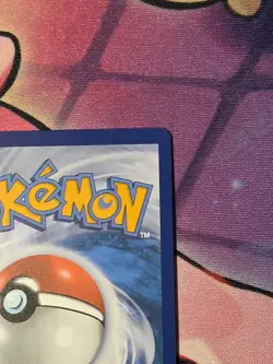 Pokemon Noctowl SVP 141 Black Star Promo Holo Stellar Crown - Image 4