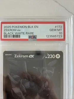 Pokemon 2025 Zekrom ex 172/086 Black White Rare Black Bolt GEM MINT PSA 10 - Image 4