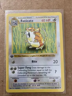 Pokemon TCG Raticate Base Set 40/102 1st Edition Never Played Near Mint - Image 1