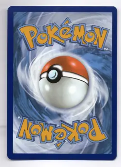 Noctowl Black Star Promo 141 Stamped Pokemon Center Exclusive Stellar Crown NM - Image 2