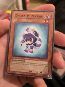 Yugioh Chrysalis Pantail TAEV-EN007 common LP - Image 1