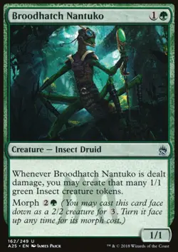 Broodhatch Nantuko - Image 1