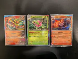 Pokemon Staff Promos Sealed packs (Mega Evolution, Surging sparks) - Image 1