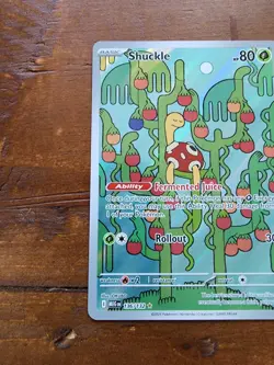 SHUCKLE Illustration Rare Holo #136/132 Pokemon Mega Evolution Eng Pack Fresh - Image 2