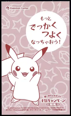Pokemon 2015 Japanese Poncho Wearing Pikachu Business Card Charizard Y - Image 2