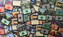 500 Basic Lands MTG Lands - From Mixed Sets 100 Of Each Basic Land Color - Image 1