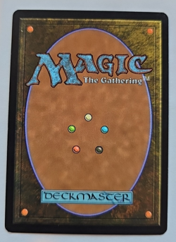 1x Tsabo's Web - Invasion (INV) MTG - Image 2