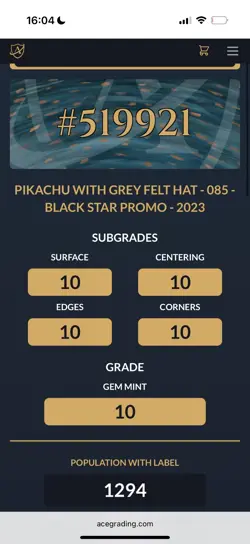 ACE 10 Pikachu With Grey Felt Hat - Van Gogh Museum Promo Pokemon Card - Not PSA - Image 3