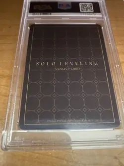 ☆HR SL1E-091 SUNG JINWOO Alt. Art PARALLEL Solo Leveling Mapniverse Card psa 10 - Image 2