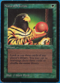 Natural Selection Beta PLD (Rare Reserved List MTG Magic Card) (505249) ABUGames - Image 1