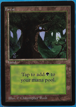 Forest (C Dark Tree) Beta PLD Basic Land MAGIC MTG CARD (ID# 505238) ABUGames - Image 1